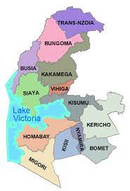 The Lake Region Economic Map showing counties in the Lake Region Economic Bloc